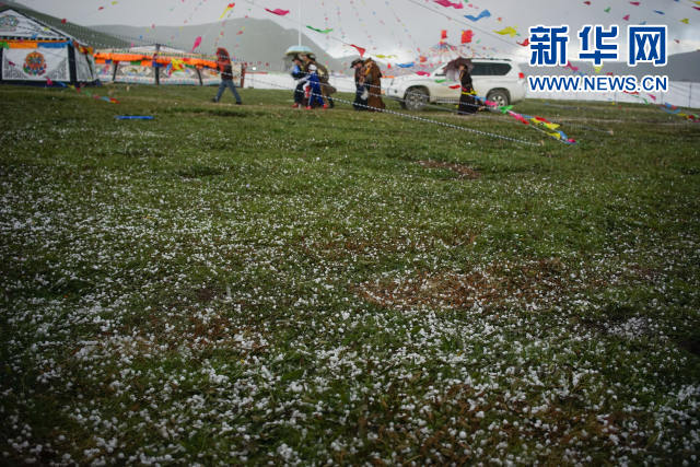 རྫ་ཆུ་ཁའི་རྩྭ་ཐང་དུ་སེར་བ་བབ་པ།