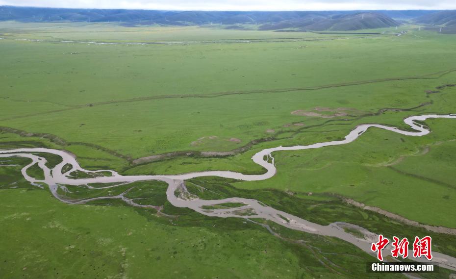 འདི་ནི་འབུམ་ཡག་རྩྭ་ཐང་རེད། 