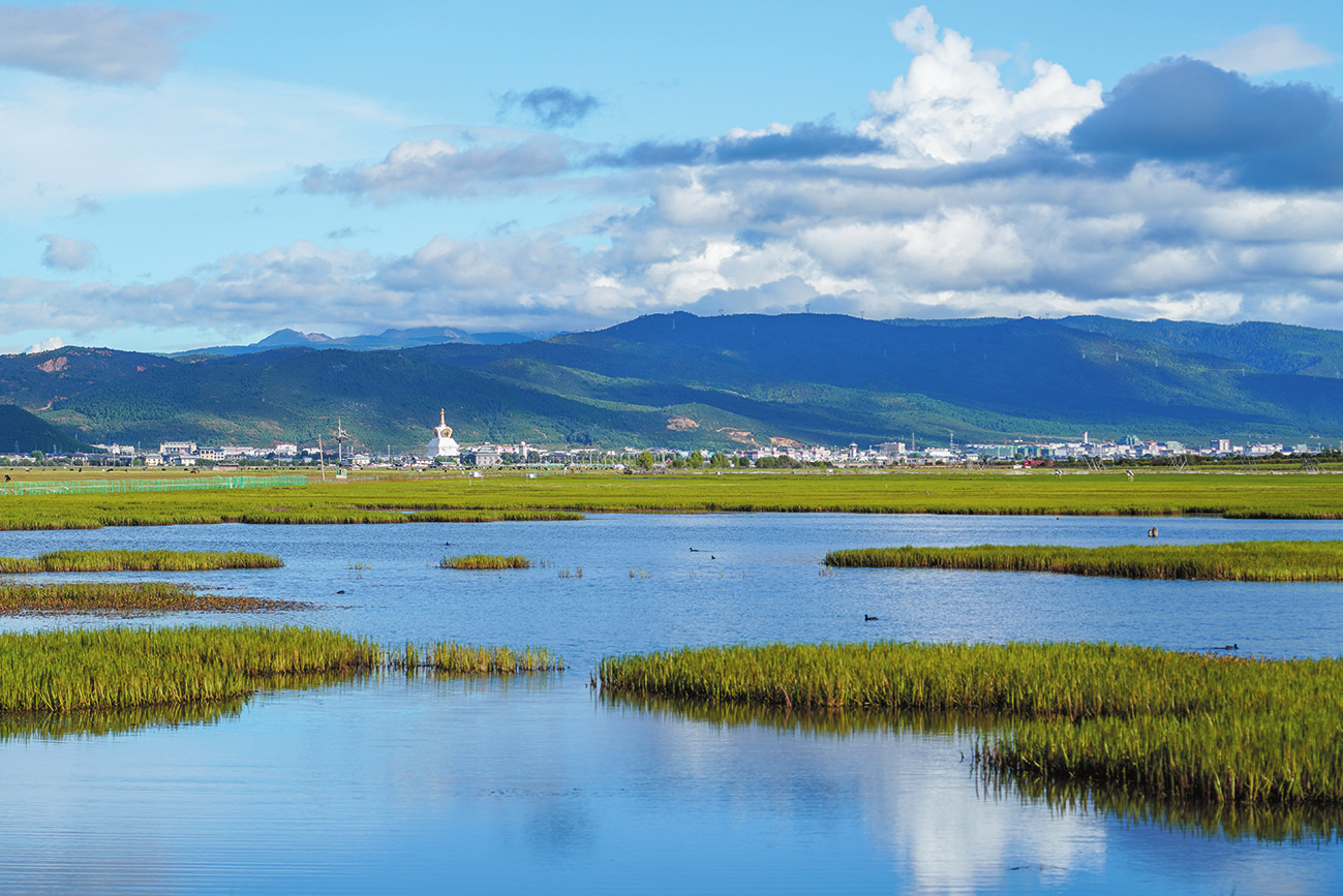 སེམས་ཀྱི་ཉི་ཟླ་གྲོང་ཁྱེར་ནས་པར་བླངས་པའི་ནགས་ཕག་མཚོ་ཡི་མཛེས་ལྗོངས་ཡིན་པ།