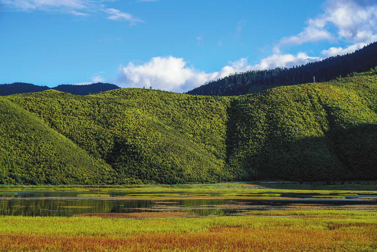 སེམས་ཀྱི་ཉི་ཟླ་གྲོང་ཁྱེར་ནས་པར་བླངས་པའི་ནགས་ཕག་མཚོ་ཡི་མཛེས་ལྗོངས་ཡིན་པ།