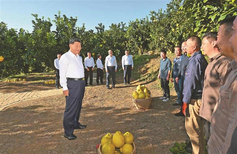 ཟླ་11ཚེས་7ཉིན་དང་ཚེས་8ཉིན། ཀྲུང་གུང་ཀྲུང་དབྱང་གི་སྤྱི་ཁྱབ་ཧྲུའུ་ཅི་དང་། རྒྱལ་ཁབ་ཀྱི་ཀྲུའུ་ཞི། ཀྲུང་དབྱང་དམག་ཨུད་ཀྱི་ཀྲུའུ་ཞི་བཅས་ཡིན་པའི་ཞི་ཅིན་ཕིང་གིས་ཀོང་ཏུང་དུ་རྟོག་ཞིབ་གནང་ཞིང་། འདི་ནི་ཚེས་7ཉིན་གྱི་ཕྱི་དྲོར། ཞི་ཅིན་ཕིང་གིས་མེ་ཀྲོའུ་གྲོང་ཁྱེར་མེ་ཤན་ཆུས་ཡན་དབྱང་གྲོང་རྡལ་ནན་ཧྥུའུ་ཤིང་ཏོག་ཅིན་ཡིའུ་འདེབས་འཛུགས་རྟེན་གཞིར་རྟོག་ཞིབ་གནང་སྐབས་ཤིང་འབྲས་འདེབས་མཁན་དང་དེ་བཞིན་ཞིང་ལས་ལག་རྩལ་མི་སྣ་དང་བྱམས་བརྩེའི་སྤེལ་རེས་གནང་བཞིན་པ།