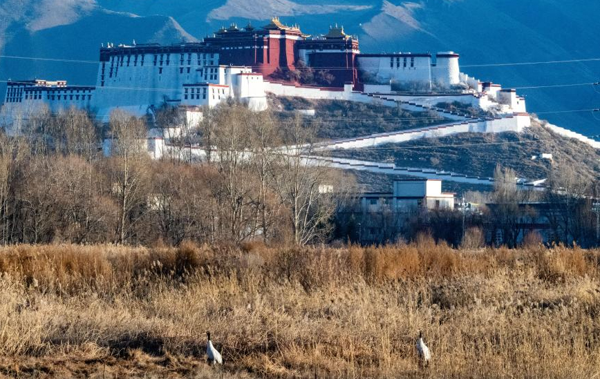 ༄༅།།དགུན་དུས་ཀྱི་ལྷ་ཀླུ་འདམ་ར། 