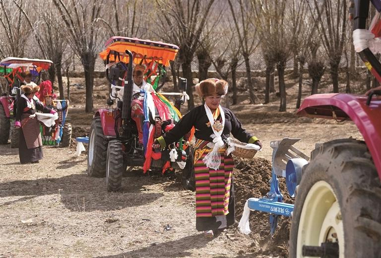 འདི་ནི་ཟླ་3ཚེས་16ཉིན། བོད་ལྗོངས་ལྷོ་ཁ་གྲོང་ཁྱེར་སྐྱེད་པ་ཤང་སྐྱེད་པ་གྲོང་ཚོའི་ཡུལ་མིས་ལུས་ལ་གཟབ་མཆོར་ལེགས་པར་སྤྲས་ནས་རྨོད་གཉའ་གཅོག་བཞིན་པ།