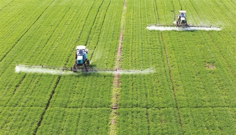 ཉིན་ཤས་རིང་། ས་གནས་མང་པོའི་ཞིང་པས་སོ་ནམ་དུས་ཚོད་དམ་འཛིན་བྱས་ནས་དཔྱིད་རྨོད་དཔྱིད་འདེབས་སོགས་ཀྱི་ཞིང་ལས་ཐོན་སྐྱེད་ལ་ཧུར་ཐག་ཞུགས་པས། ཞིང་ནང་དང་མུ་ཁར་ཚ་ཚ་འུར་འུར་ངང་ལས་ལ་བྲེལ་བཞིན་ཡོད། འདི་ནི་ཅང་སུའུ་ཞིང་ཆེན་ནན་ཐུང་གྲོང་ཁྱེར་ལིའུ་ཆའོ་གྲོང་རྡལ་དབྱིན་ཅ་ཡོན་གྲོང་ཚོར་ཞིང་པས་ཞིང་འཕྲུལ་བཏང་ནས་གྲོ་ཞིང་ལ་གཡོག་བྱེད་བྱེད་བཞིན་པ།