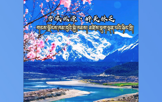 ༄༅།།གངས་ལྗོངས་ཀྱི་ཁམ་བུའི་སྐྱེ་ཁམས། མཛེས་སྡུག་ལྡན་པའི་ཉིང་ཁྲི།