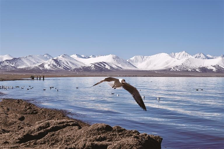 འདི་ནི་གངས་འཁྱག་བཞུར་ཟིན་པའི་གནམ་མཚོ་ཡིན་པ།