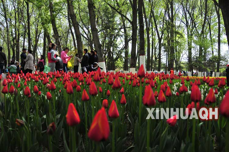 纀︽缤纩︽繿贉︽繿卧︽轴臦︽繿贒繿累︽<em>腷</em>︽