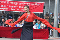 民大藏学院的舞蹈