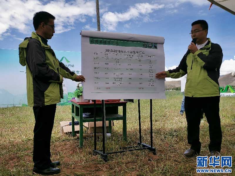 བོད་ལྗོངས་མཐོ་སྒང་རྩྭ་ལས་ཞིབ་འཇུག་ལྟེ་གནས་ཀྱི་ཞིབ་འཇུག་པ་འབུམ་རམས་པ་ཝུའུ་ཅུན་ཤིས(གཡོན་གྱི་དང་པོ)ཀྱིས་ལྷུན་གྲུབ་རྫོང་གི་རྩྭ་འདེབས་གནས་ཚུལ་གསལ་འགྲེལ་བྱེད་བཞིན་ཡོད་པ།