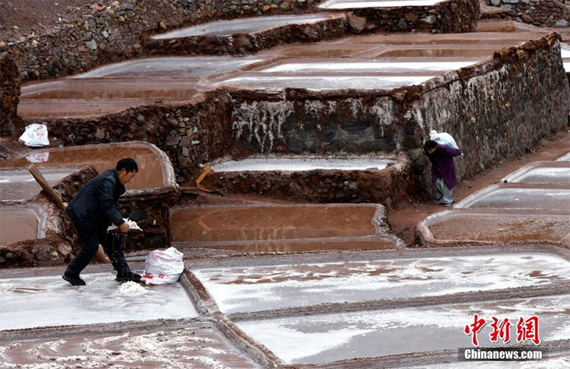 ༄༅།།བོད་ལྗོངས་ཆབ་མདོའི་ལོ་ངོ་སྟོང་གི་གནའ་བོའི་ཚྭ་ཞིང་། 