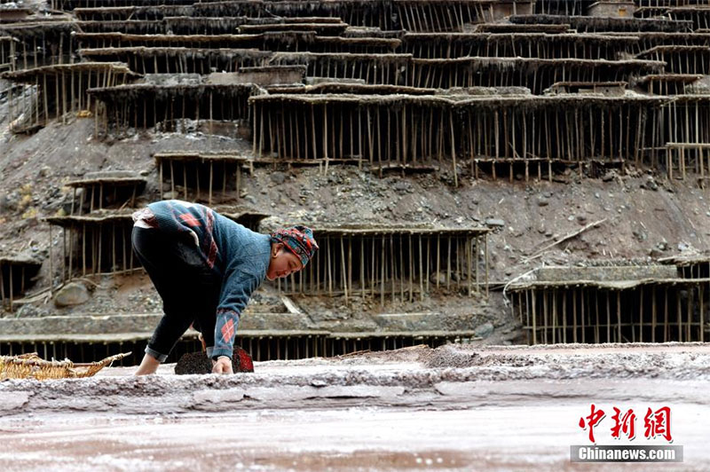 ༄༅།།བོད་ལྗོངས་ཆབ་མདོའི་ལོ་ངོ་སྟོང་གི་གནའ་བོའི་ཚྭ་ཞིང་། 
