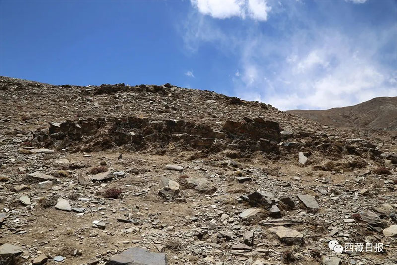 སྐྱིད་རིའི་སྟེང་གི་གནའ་བོའི་བང་སོའི་ཚོགས།