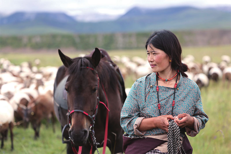 འདི་ནི་མཚོ་སྔོན་ཞིང་ཆེན་རྨ་ལྷོ་བོད་རིགས་རང་སྐྱོང་ཀྲོའུ་རྨ་ལྷོ་སོག་རིགས་རང་སྐྱོང་རྫོང་མདོ་གསུམ་ཤང་མདོ་གསུམ་གྲོང་ཚོ་རུ་བཀྲ་ཤིས་ཆོས་འཕེལ་གྱི་བཟའ་ཟླ་གདུགས་དཀར་སྐྱིད་ཀྱིས་ལུག་འཚོ་བཞིན་པ།