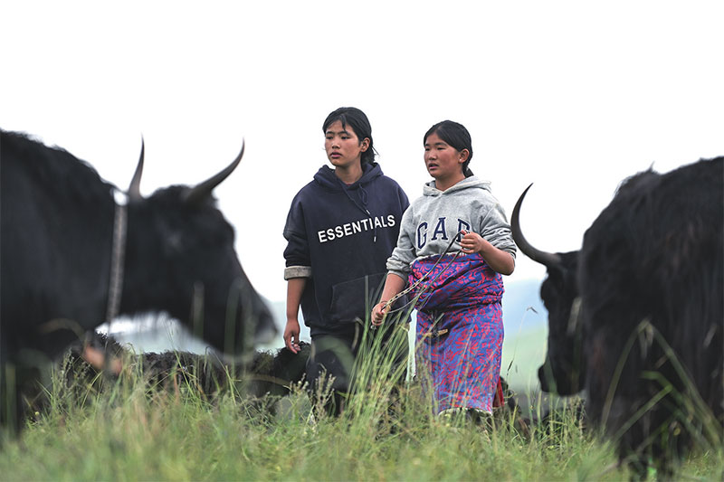  འདི་ནི་བཀྲ་ཤིས་ཆོས་འཕེལ་གྱི་བུ་མོ་རིན་ཆེན་སྒྲོལ་མ（གཡོན）དང་མ་སྤུན་གཅུང་མོས་འོ་མ་འཇོ་རྩིས་བྱེད་བཞིན་པ།