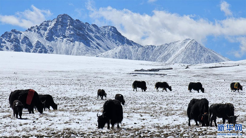 ༄༅།།ཁ་བས་བརྒྱན་པའི་ཡིད་འོང་མཚོ་སྨད་རྫོང་། 