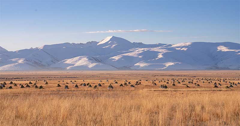 བོད་ལྗོངས་འདམ་གཞུང་རྫོང་གི་འབྲོག་ར་ཞིག་ཡིན་པ།