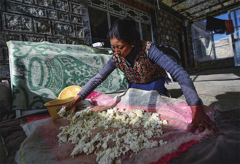 བོད་ལྗོངས་འདམ་གཞུང་རྫོང་གནམ་མཚོ་ཤང་དག་པོ་གྲོང་ཚོའི་དགུན་དུས་འབྲོག་རར་འབྲོག་པས་ཕྱུར་བ་བཟོ་བཞིན་པ།