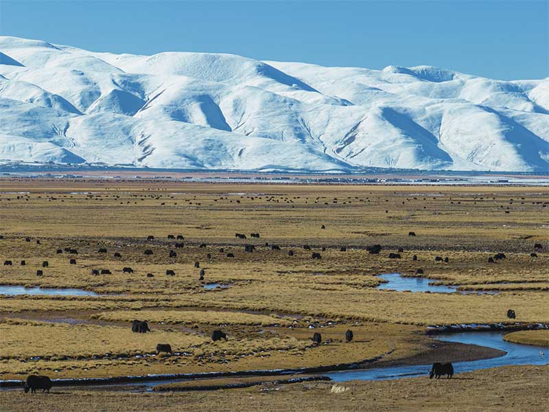 བོད་ལྗོངས་འདམ་གཞུང་རྫོང་གི་འབྲོག་ར་ཞིག་ཡིན་པ།