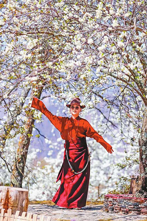 འདི་ནི་དར་མདོ་ནས་ཡོང་བའི་ཡུལ་སྐོར་བས་མེ་ཏོག་རབ་ཏུ་བཞད་པའི་ལི་སྡོང་འོག་ཞབས་བྲོ་འཁྲབ་བཞིན་པ།།