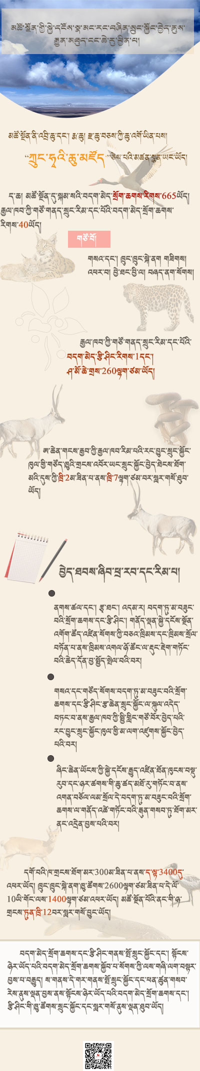 ༄༅།།མཚོ་སྔོན་གྱི་སྐྱེ་དངོས་སྣ་མང་རང་བཞིན་སྲུང་སྐྱོང་བྱེད་ནུས་རྒྱུན་མཐུད་ངང་ཆེ་རུ་ཕྱིན་པ།